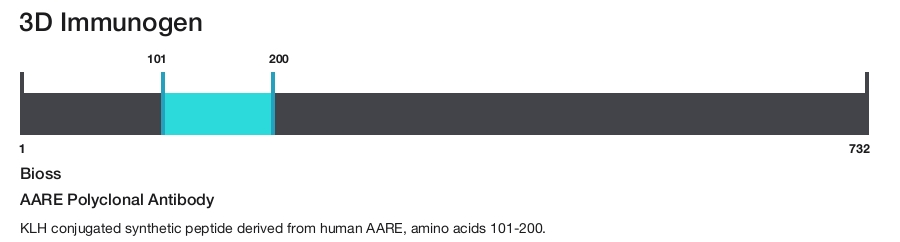 AARE Polyclonal Antibody