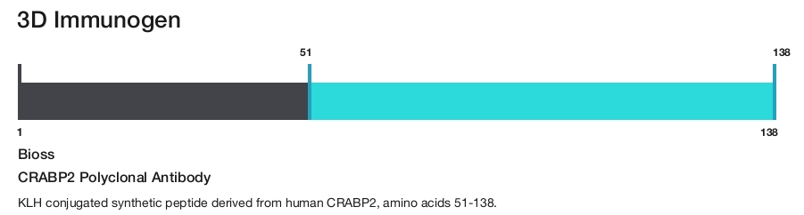 CRABP2 Polyclonal Antibody