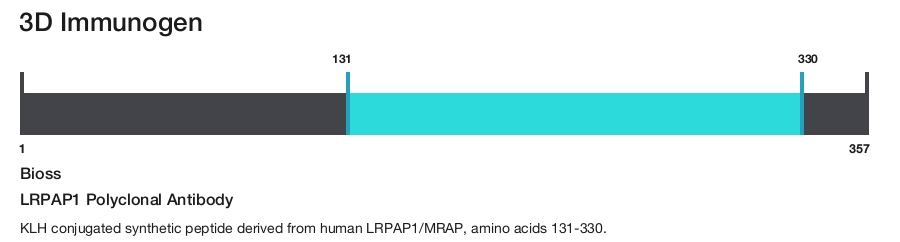 LRPAP1 Polyclonal Antibody