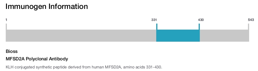 MFSD2A Polyclonal Antibody