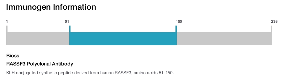 RASSF3 Polyclonal Antibody