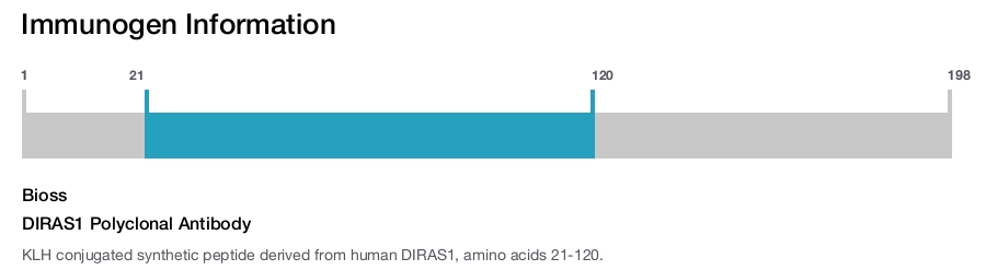 DIRAS1 Polyclonal Antibody