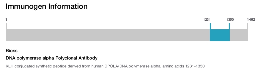 DNA polymerase alpha Polyclonal Antibody