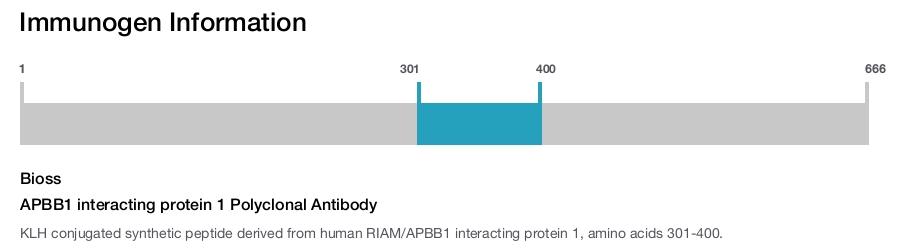 APBB1 interacting protein 1 Polyclonal Antibody