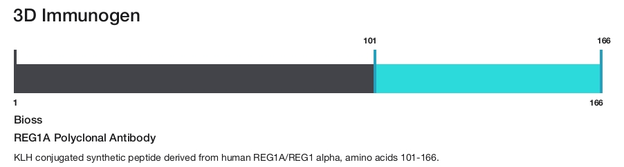 REG1A Polyclonal Antibody