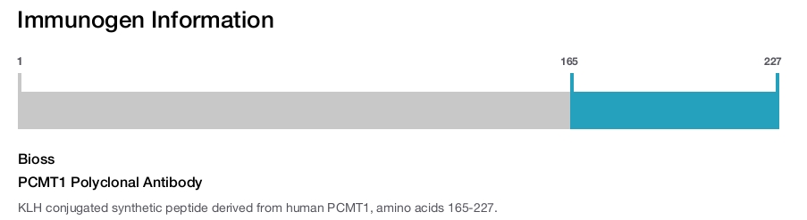 PCMT1 Polyclonal Antibody