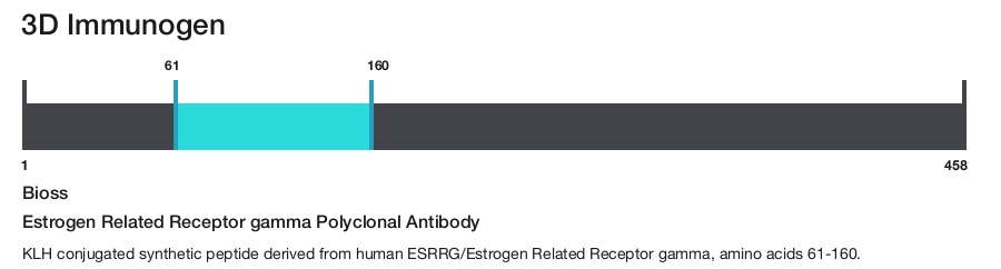 Estrogen Related Receptor gamma Polyclonal Antibody