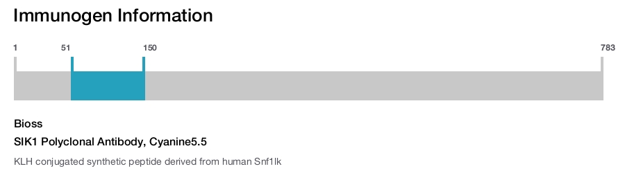 SIK1 Polyclonal Antibody, Cyanine5.5