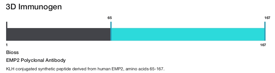 EMP2 Polyclonal Antibody