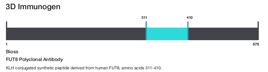 FUT8 Polyclonal Antibody