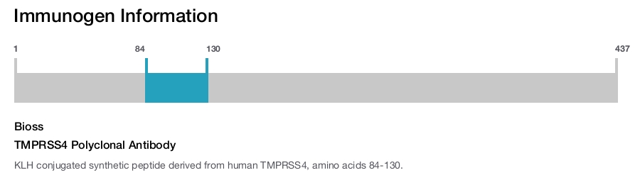 TMPRSS4 Polyclonal Antibody