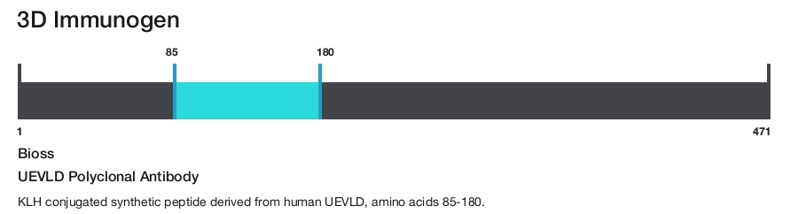 UEVLD Polyclonal Antibody