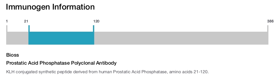 Prostatic Acid Phosphatase Polyclonal Antibody