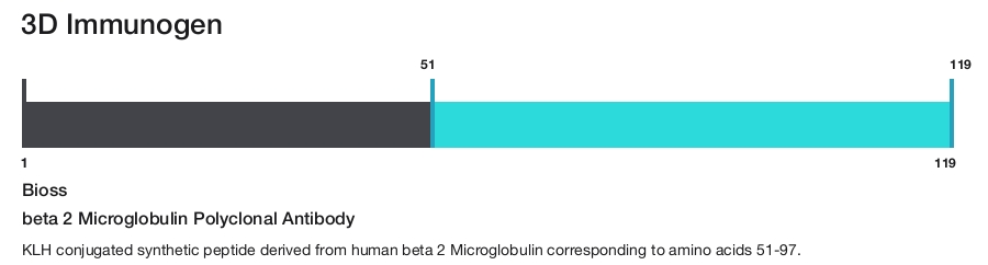 beta 2 Microglobulin Polyclonal Antibody