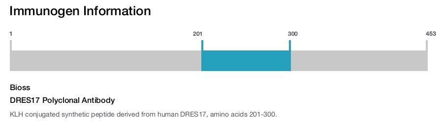 DRES17 Polyclonal Antibody