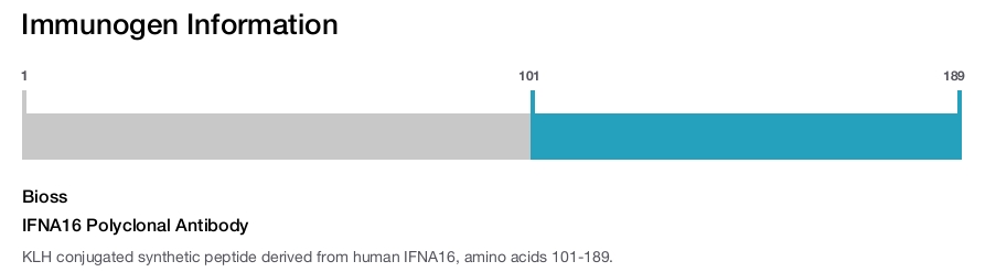 IFNA16 Polyclonal Antibody