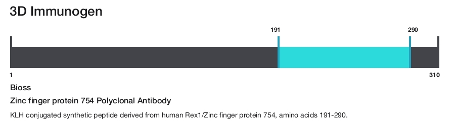Zinc finger protein 754 Polyclonal Antibody