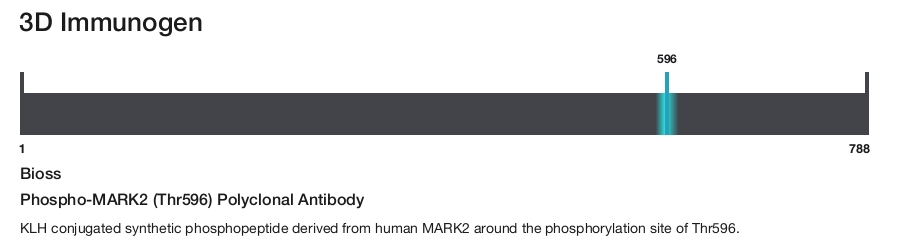 Phospho-MARK2 (Thr596) Polyclonal Antibody