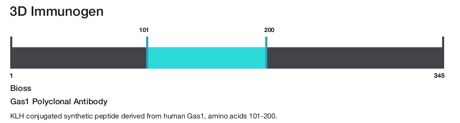 Gas1 Polyclonal Antibody