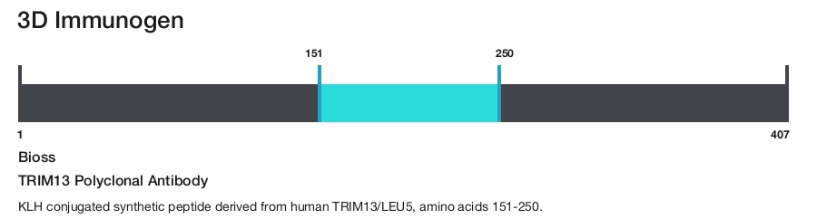 TRIM13 Polyclonal Antibody