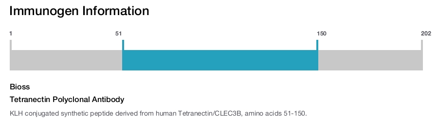 Tetranectin Polyclonal Antibody