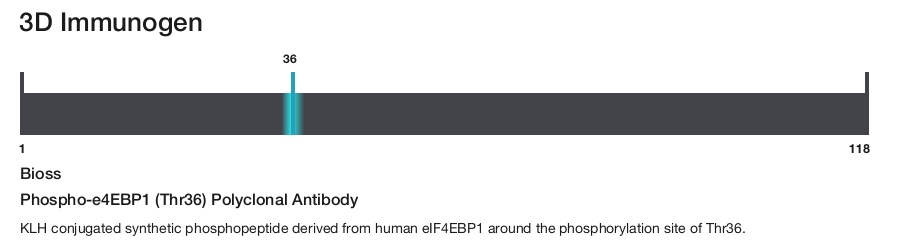 Phospho-e4EBP1 (Thr36) Polyclonal Antibody