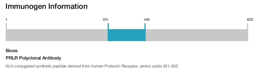 PRLR Polyclonal Antibody