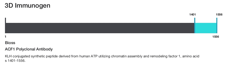 ACF1 Polyclonal Antibody