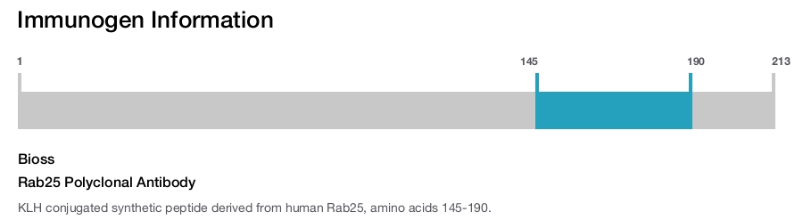 Rab25 Polyclonal Antibody