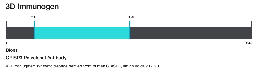 CRISP3 Polyclonal Antibody