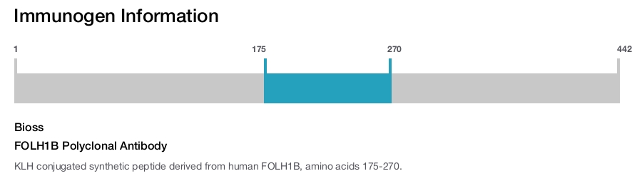 FOLH1B Polyclonal Antibody