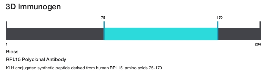 RPL15 Polyclonal Antibody