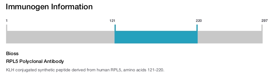 RPL5 Polyclonal Antibody