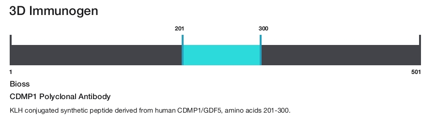 CDMP1 Polyclonal Antibody