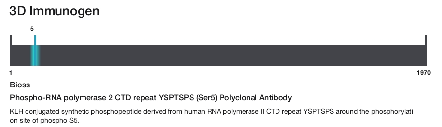 Phospho-RNA polymerase 2 CTD repeat YSPTSPS (Ser5) Polyclonal Antibody