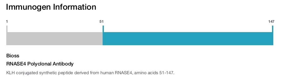 RNASE4 Polyclonal Antibody