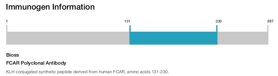 FCAR Polyclonal Antibody