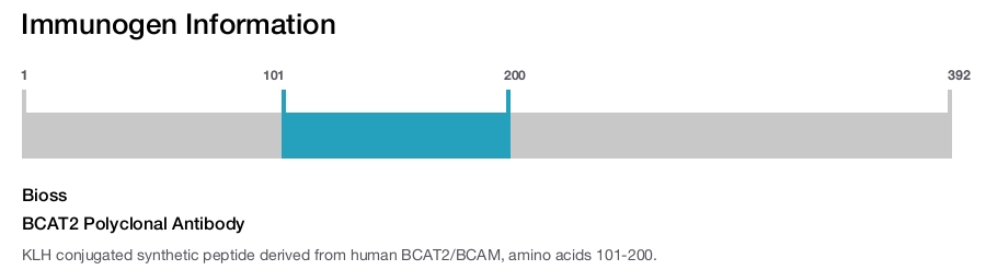BCAT2 Polyclonal Antibody