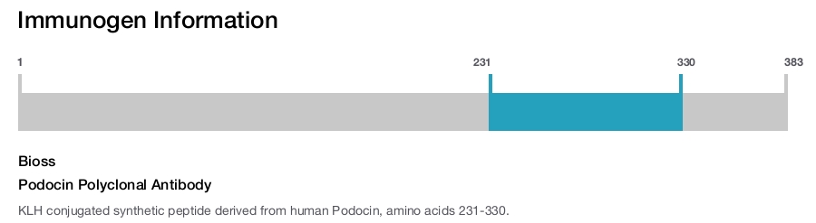 Podocin Polyclonal Antibody