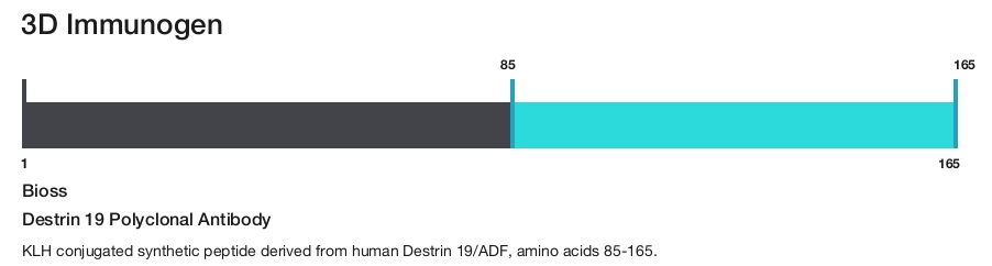 Destrin 19 Polyclonal Antibody