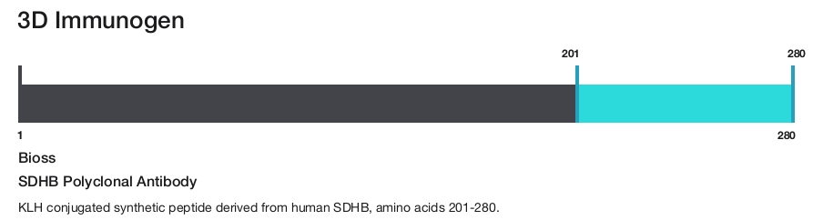 SDHB Polyclonal Antibody