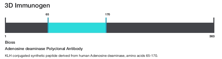 Adenosine deaminase Polyclonal Antibody