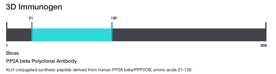 PP2A beta Polyclonal Antibody
