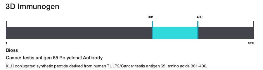 Cancer testis antigen 65 Polyclonal Antibody