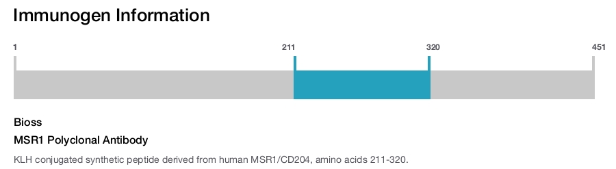 MSR1 Polyclonal Antibody