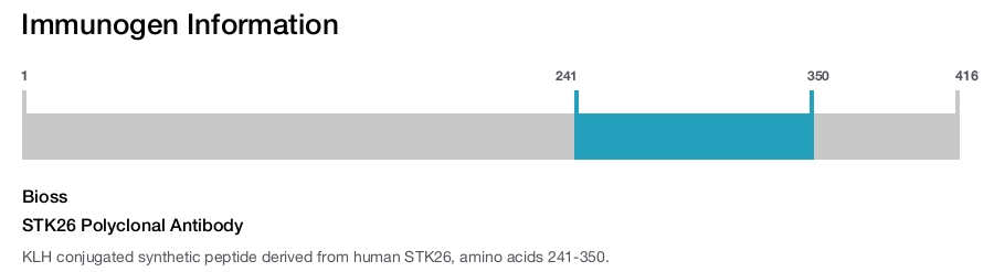 STK26 Polyclonal Antibody