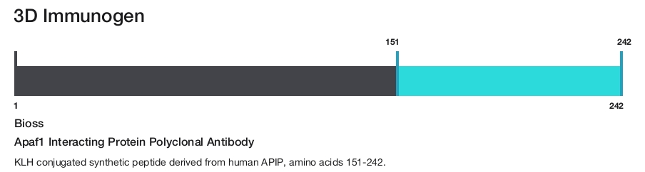 Apaf1 Interacting Protein Polyclonal Antibody