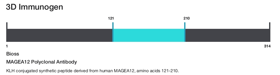 MAGEA12 Polyclonal Antibody