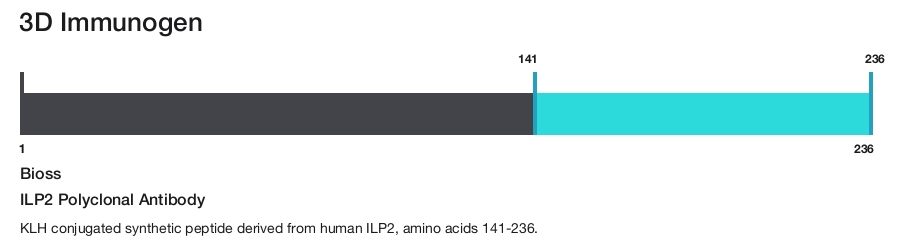 ILP2 Polyclonal Antibody