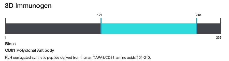 CD81 Polyclonal Antibody
